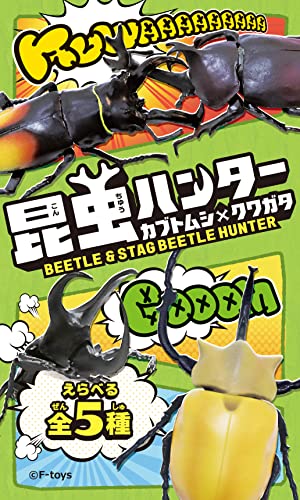 Beetle & Stag Beetle Hunter Kabutomushi x Kuwagata (June, 2023 Edition)