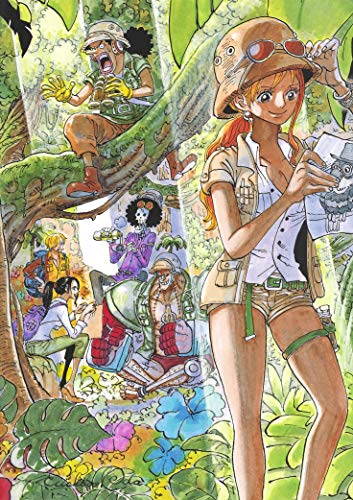 ONE PIECE illustration collection COLORWALK 9 TIGER