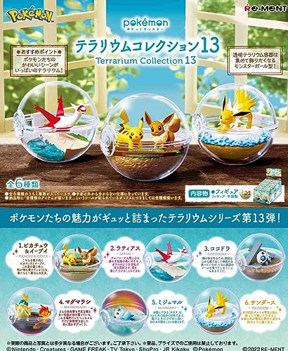 "Pokemon" Terrarium Collection 13