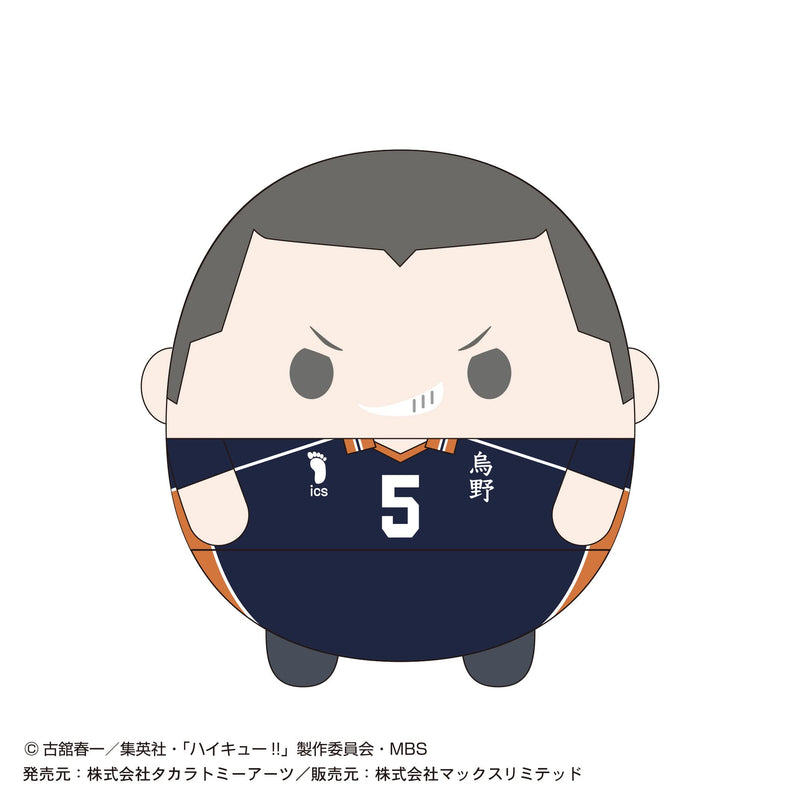 HQ-28 "Haikyu!!" Fuwakororin (M Size) 4 F Tanaka Ryunosuke
