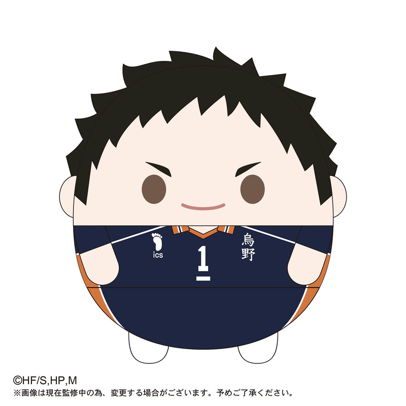 HQ-21 "Haikyu!!" Fuwakororin Big 3 A Sawamura Daichi