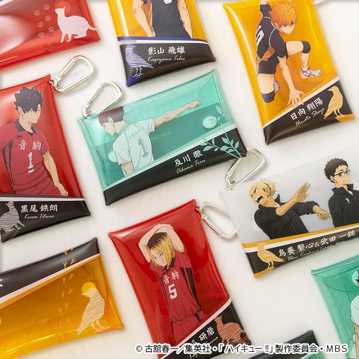 "Haikyu!!" Multi Case