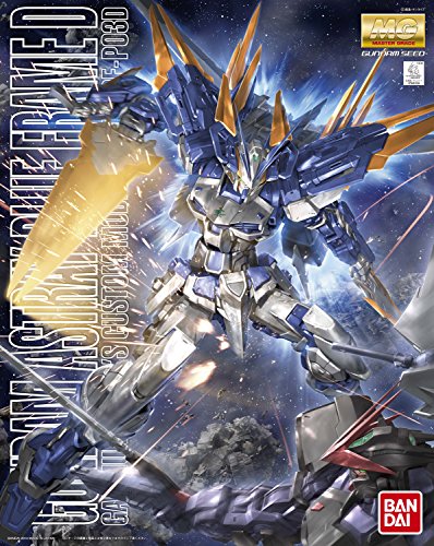 MBF-P03D Gundam Astray Blue Frame D - 1/100 Maßstab - MG, Kidou Senshi Gundam Seed Destiny Astray B - Bandai