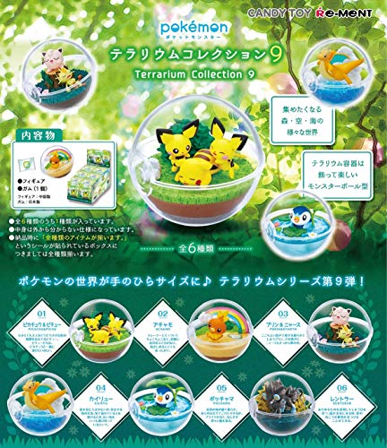 "Pokemon" Terrarium Collection 9