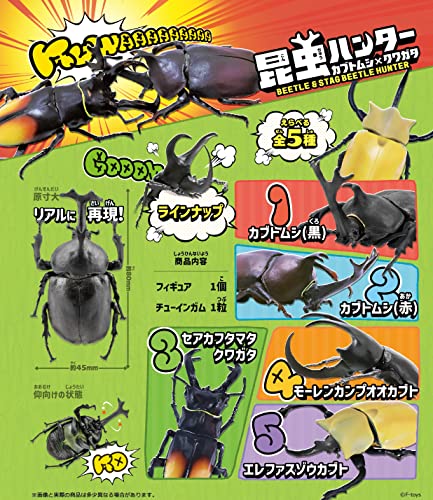 Beetle & Stag Beetle Hunter Kabutomushi x Kuwagata (June, 2023 Edition)