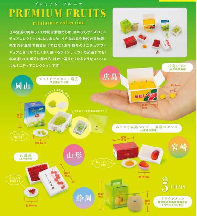 Premium Fruits Miniature Collection Box