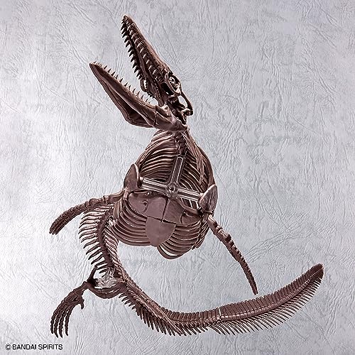 1/32 Imaginary Skeleton Mosasaurus