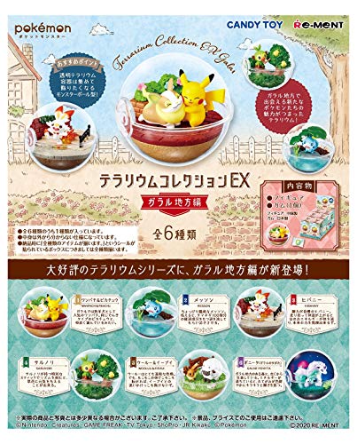 "Pokemon" Terrarium Collection EX -Galar Ver.-