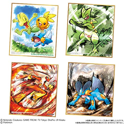 "Pokemon" Shikishi Art 3