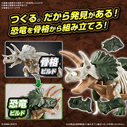 New Dinosaur Plastic Model Brand Triceratops