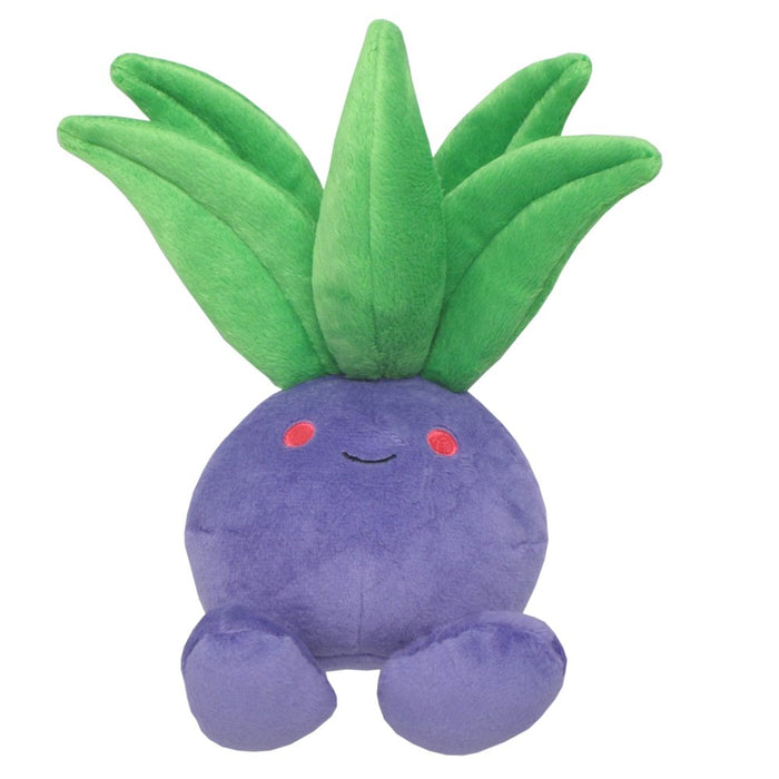 Pokemon peluche All - Star pp02 excentrique (taille S)