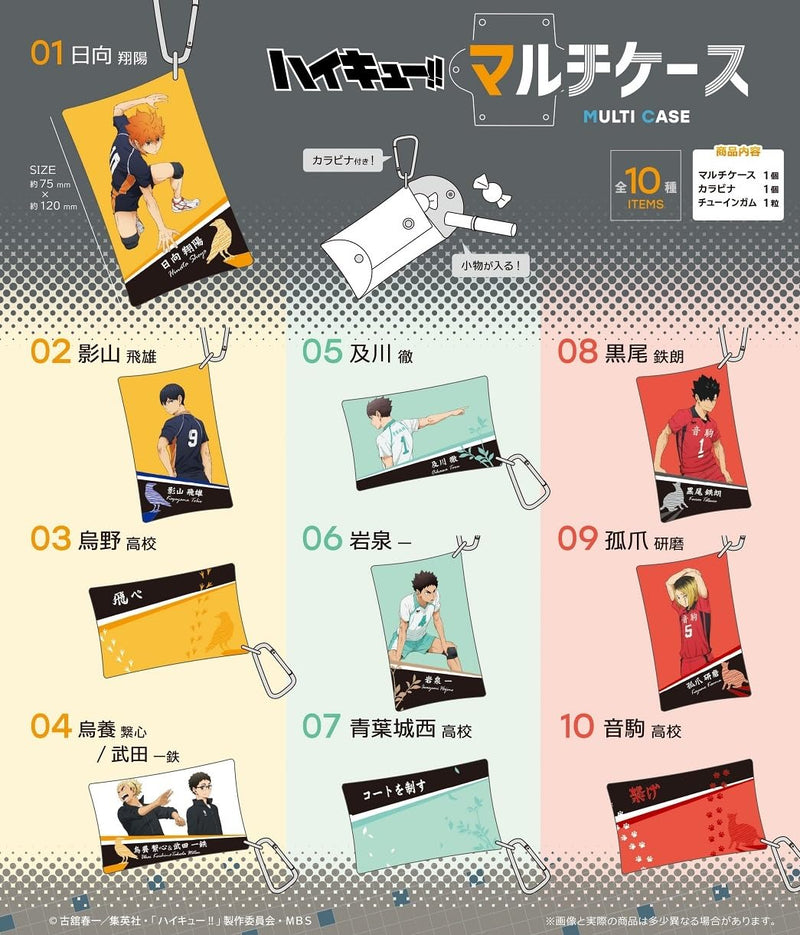 "Haikyu!!" Multi Case