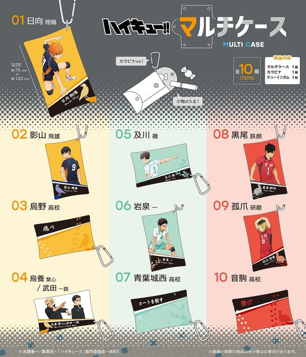 "Haikyu!!" Multi Case