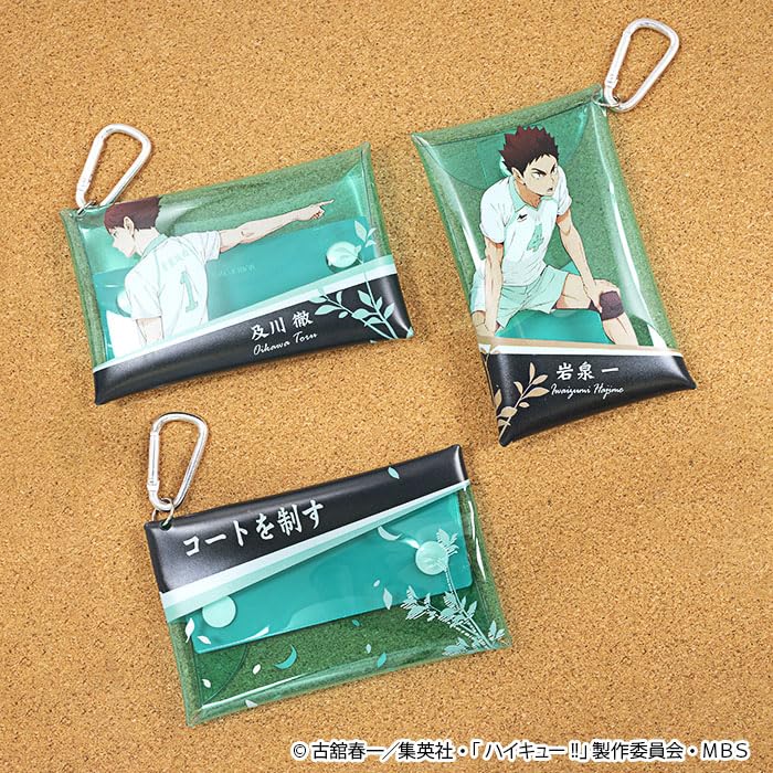 "Haikyu!!" Multi Case