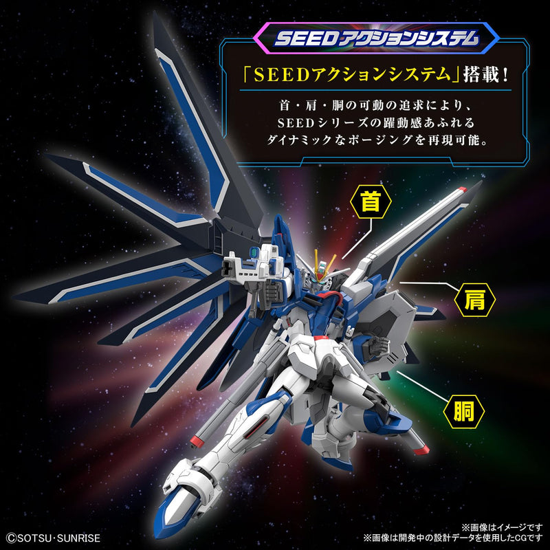 HG 1/144 "Mobile Suit Gundam Seed FREEDOM" Rising Freedom Gundam