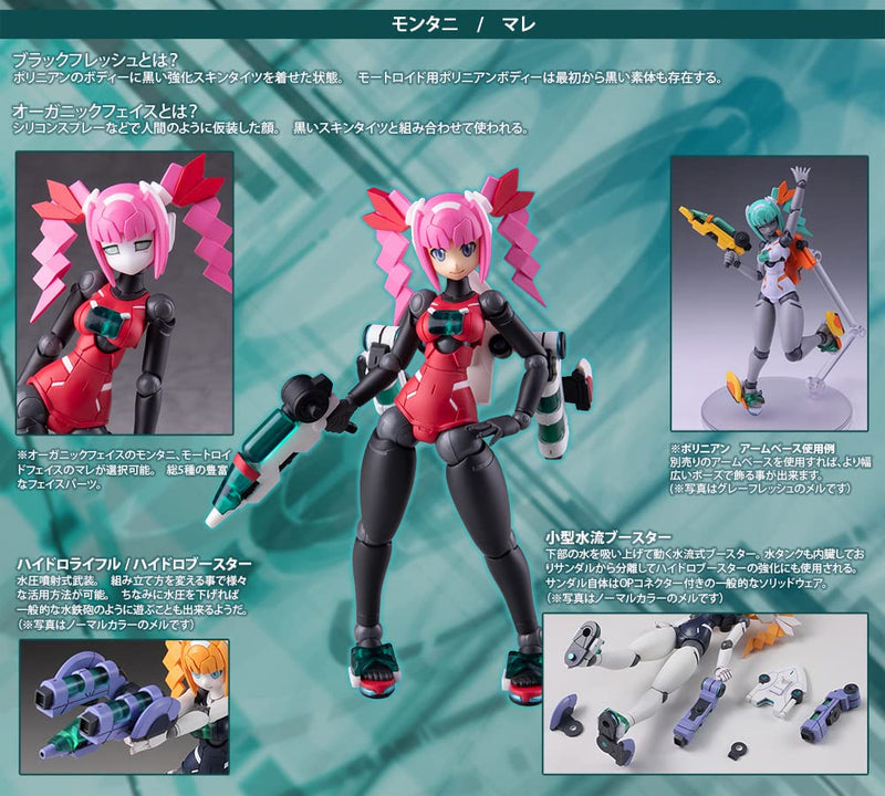 "Robot Neoanthropinae Polynian" Montagne / Motoroid Mare