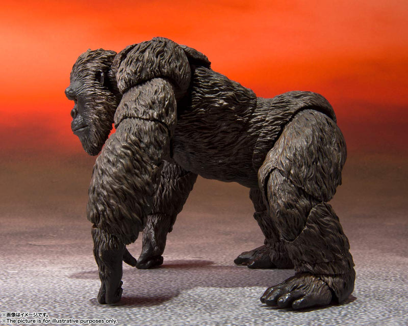 S.H. Monster Arts KONG de Movie " GODZILLA VS. KONG " (2021)