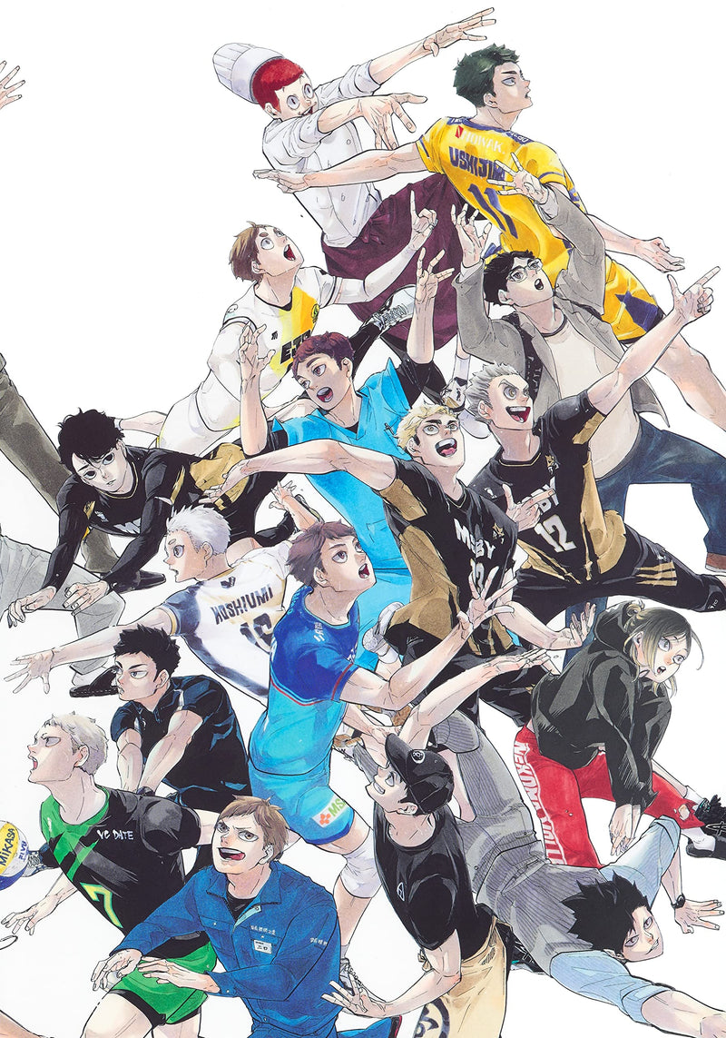Haikyu!! 10th Chronicle