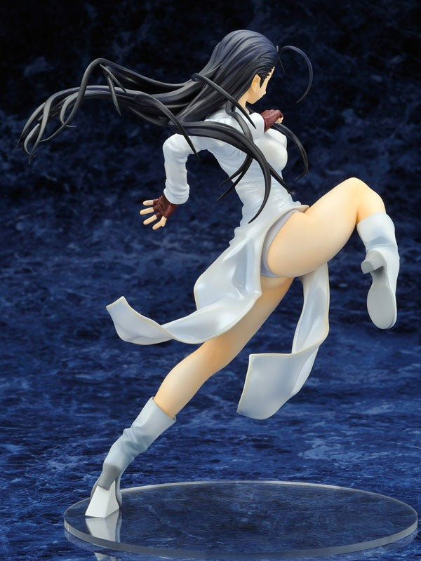 "Battle Vixens Great Guardians" 1/8 Scale Figure  Kakouen Myousai