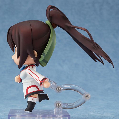 Infinite Stratos Nendoroid Shinonono Houki