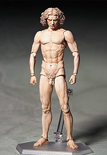Vitruvian Man Figma Figure Museum
