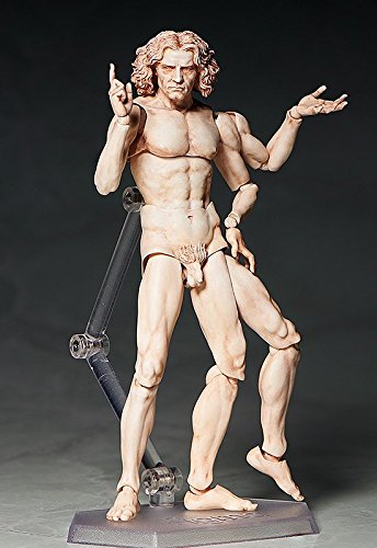 Vitruvian Mann Figural Figure Museum
