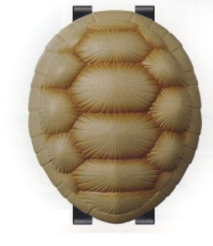 Kame-Sennin Turtle Shell für die Figur (Weiß) Banpresto Dragon Ball